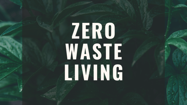 Environmental Risk In E Waste
