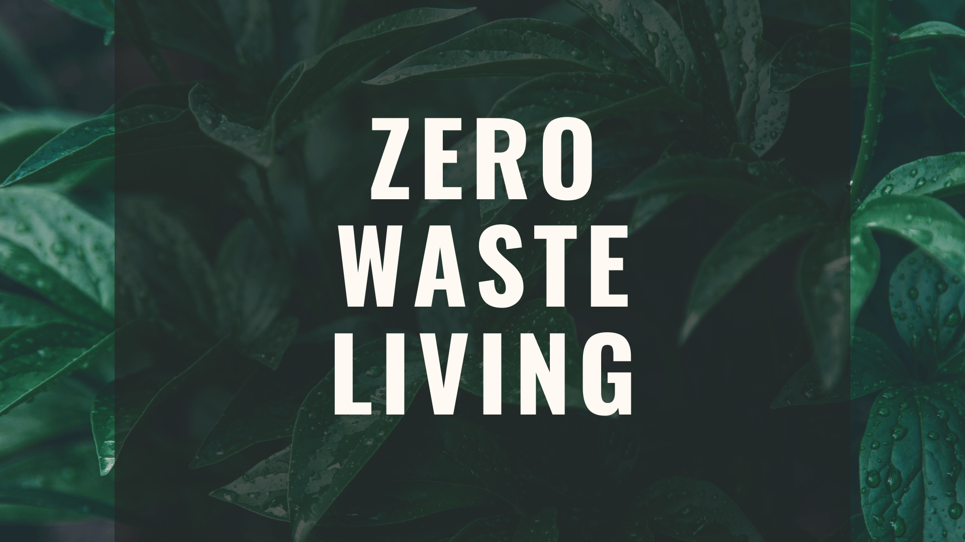 Environmental Risk In E Waste